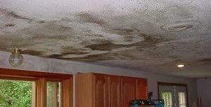 Water Damage and Mold On Ceiling Due To Huge Upstairs Bathroom Flood